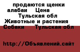 продаются щенки алабаи  › Цена ­ 5 000 - Тульская обл. Животные и растения » Собаки   . Тульская обл.